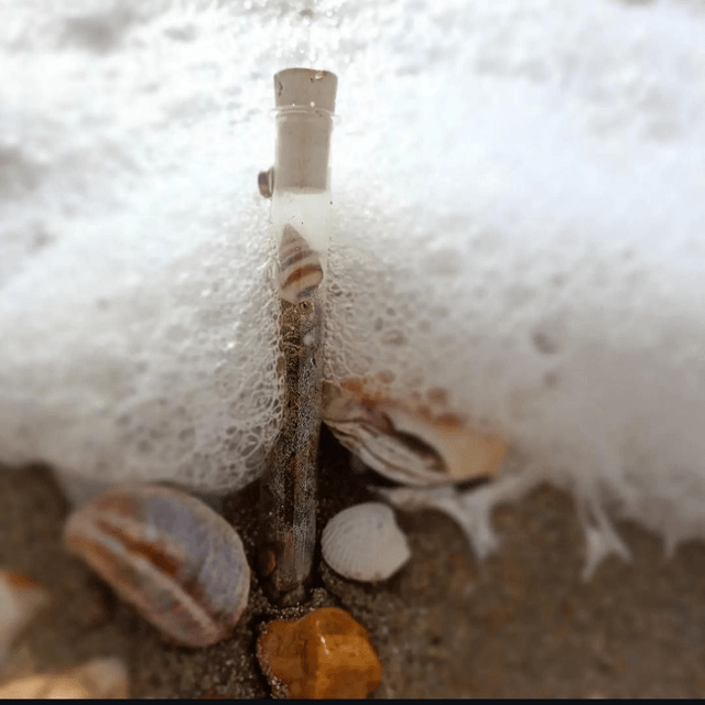 Magnette souffle de mer 